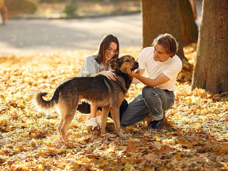 perro-hombre-mujer-en-campo-min.jpg