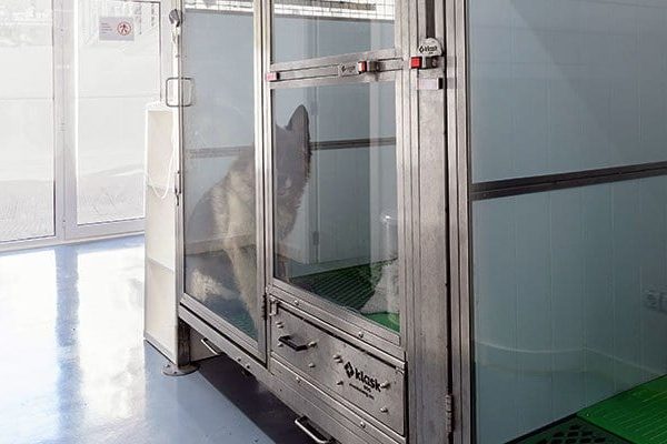 sala-infecciosos-servicios-veterinario