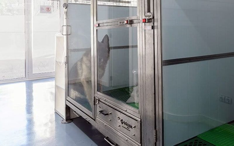 sala-infecciosos-servicios-veterinario