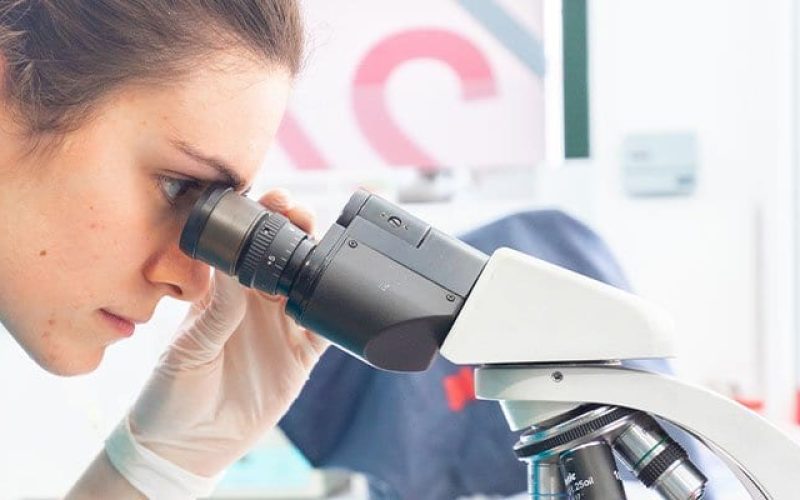 servicios-laboratorio-veterinario