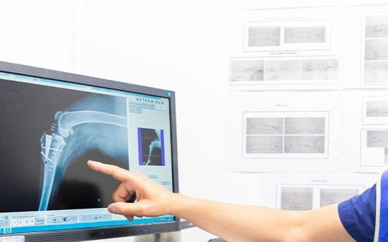 servicios-radiologia-digital-veterinario